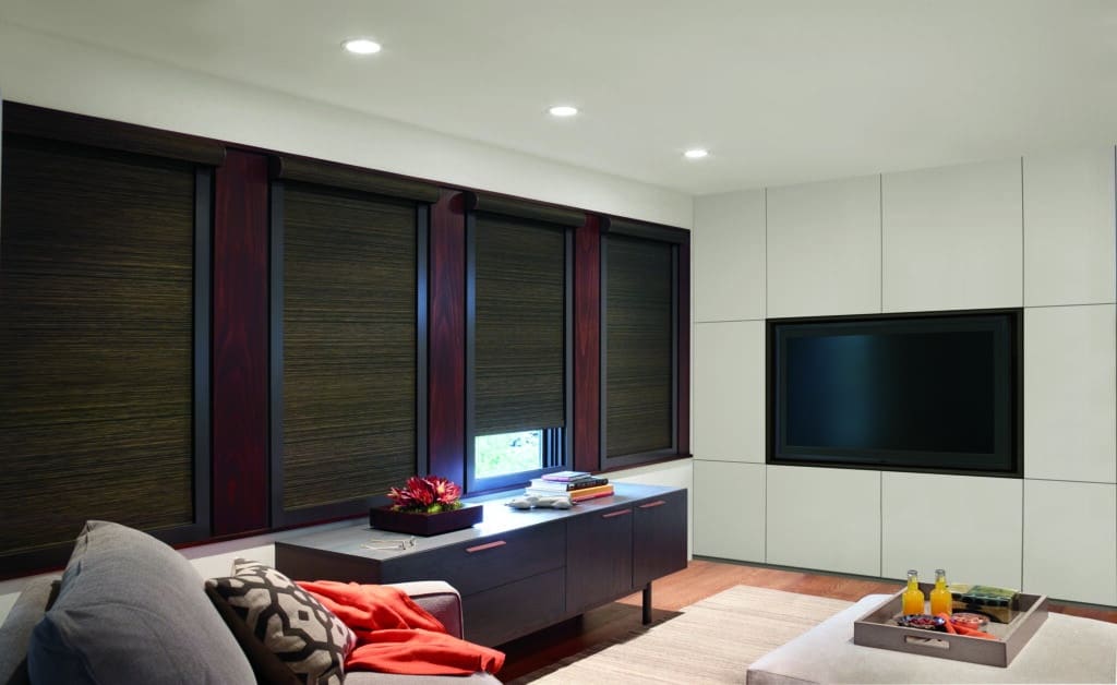 Roller Shade Media Room